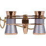 Бинокль LEVENHUK BROADWAY 325F с подсветкой и цепочкой серебряный 17781